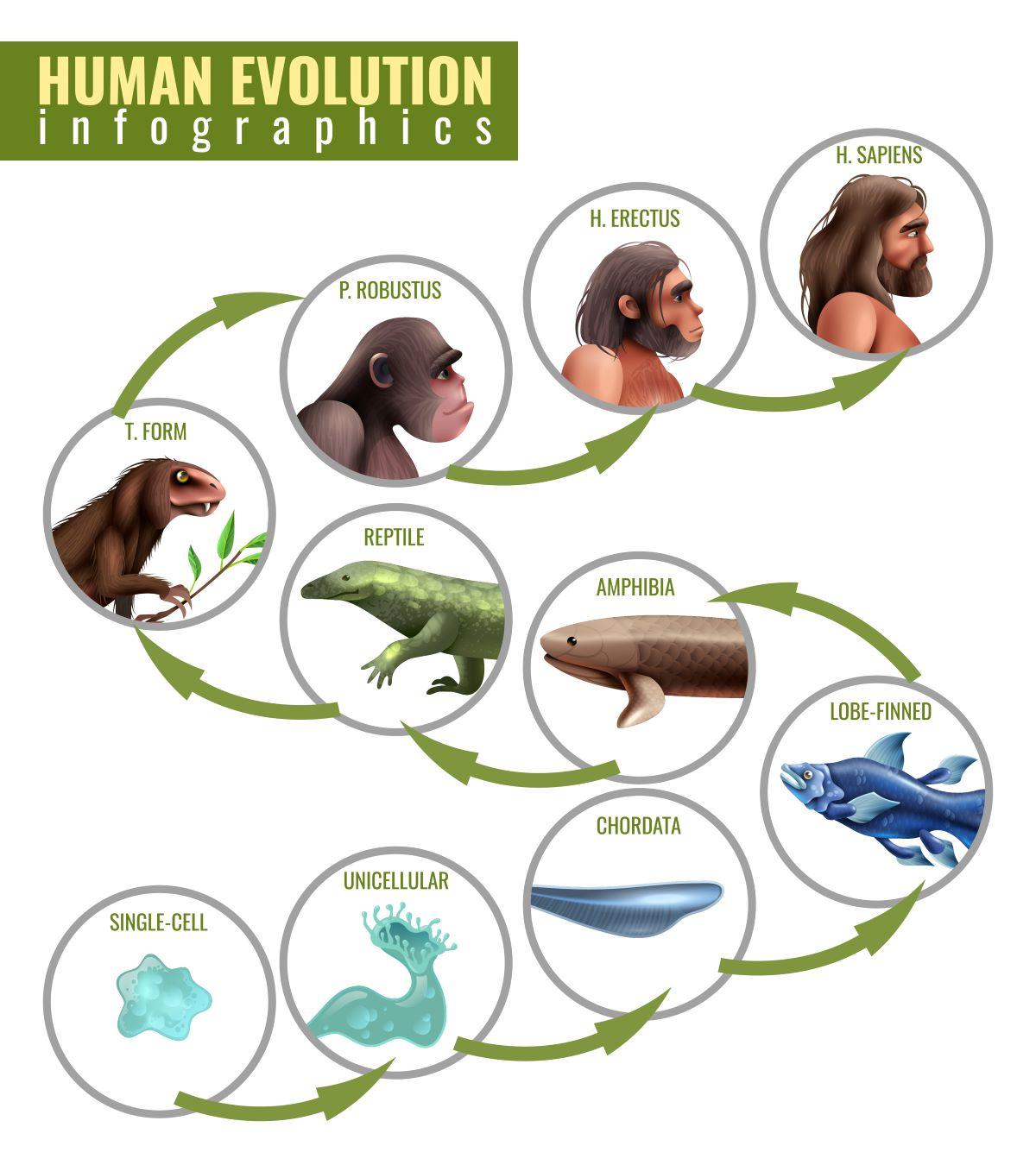 Top 8 Unbelievable Findings about Evolution Thumbnail